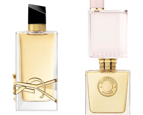 Parfumes that will make everyone chase you ✨ cover photo collage