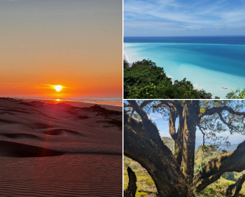 ​Timor's Best Kept Secrets cover photo collage