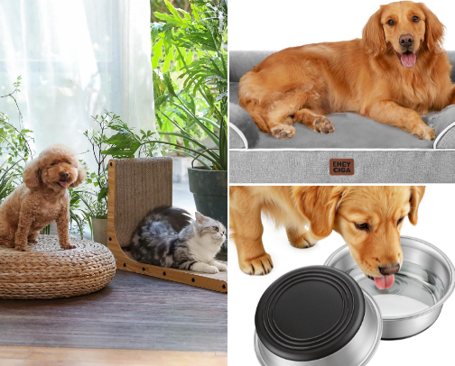 Must-Have Pet Gear cover photo collage