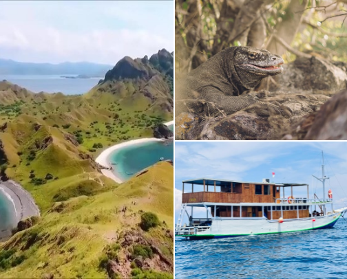 Beautiful place to visit in Indonesia - Komodo Island cover photo collage
