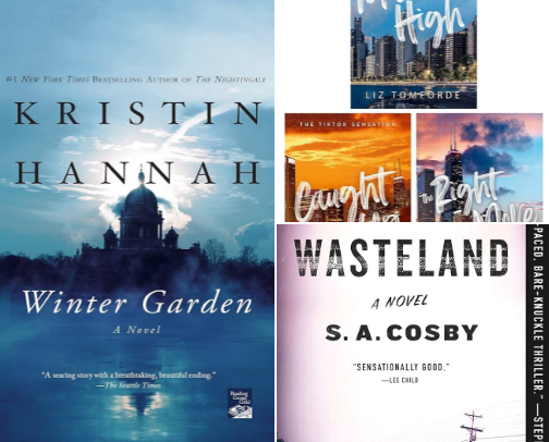 Kindle Unlimited Recommendations | As of August 2025 cover photo collage