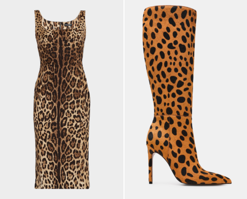 Animal Print Finds That Are Too Good to Scroll Past cover photo collage