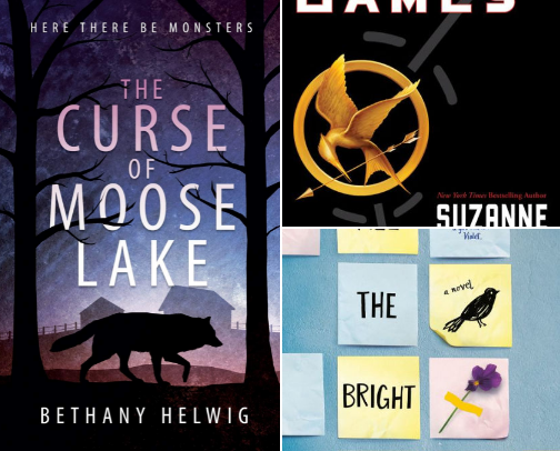 Books To Add To Your TBR: YA Addition📚 cover photo collage