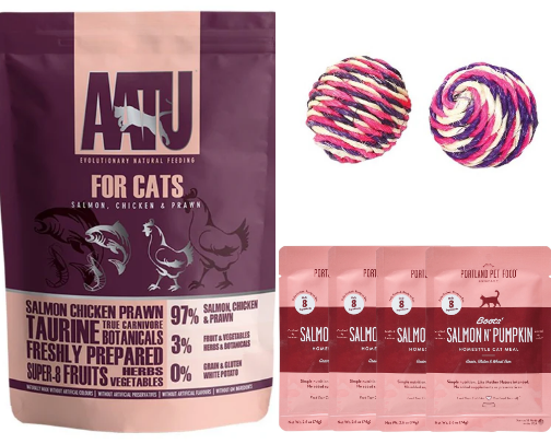 My favorite finds for spoiling your cat right cover photo collage