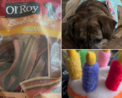 Puppy Lulu's favorites cover photo collage
