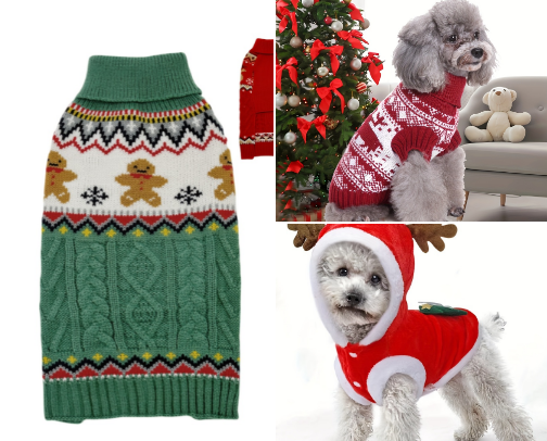 It's Temu Time! My Family Orders. cover photo collage