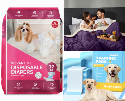 Senior Dog Must Haves! cover photo collage