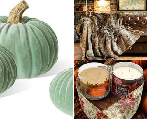 Fall Cozy Home Finds Under $30 🍂 cover photo collage