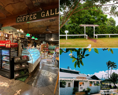 Coffee + Matcha | Oahu, HI cover photo collage