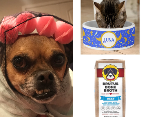Dog Life cover photo collage