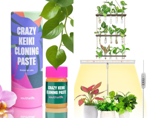 Plant obsession cover photo collage