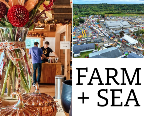 Massachusetts Fall Weekend Checklist 🍁 cover photo collage