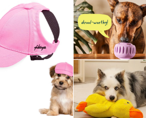Things I love for my dog, my beautiful Golden cover photo collage