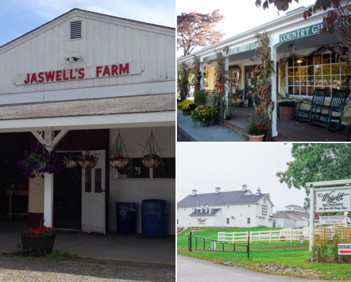 Best RI Farms to Visit cover photo collage