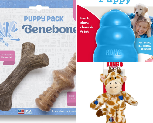 Puppy Life Savers cover photo collage