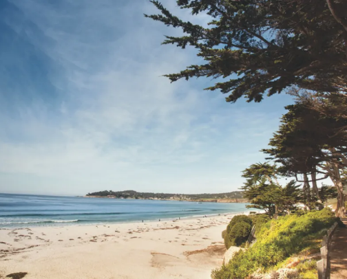 Favorite destinations in the bay cover photo collage