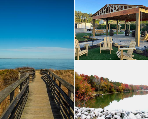 Pet Friendly Places! cover photo collage