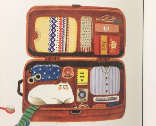 Traveling essential 🛫 cover photo collage