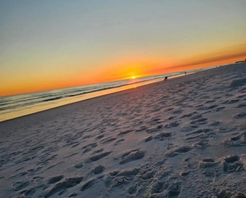 Work-From-Home Survival Kit (No Products) cover photo collage