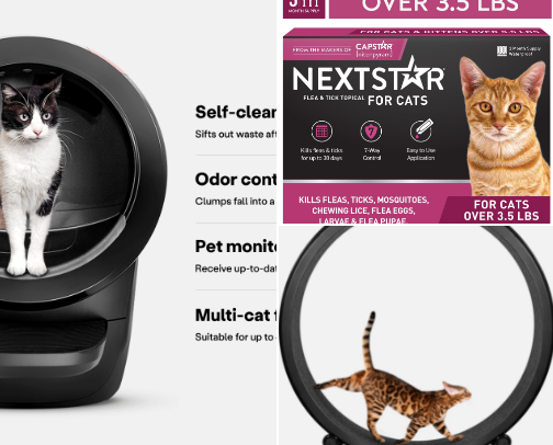 Cat essentials cover photo collage