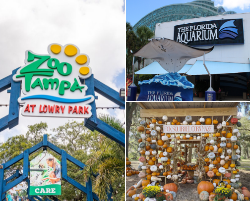 Hillsborough County, Florida Fun cover photo collage