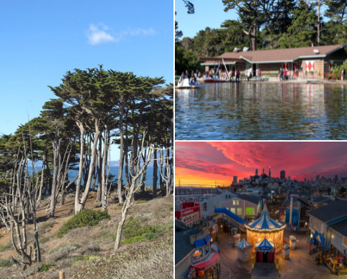 My favorite San Francisco spots 🌉 cover photo collage