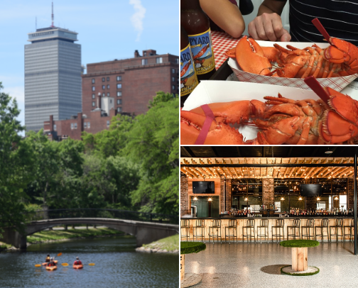 New England Dog Friendly Spots for Steps, Snacks, and Shopping 🐶 cover photo collage