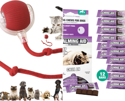 Items your pet (dog) will love cover photo collage