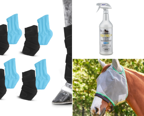 all things equestrian🤍🐎 cover photo collage