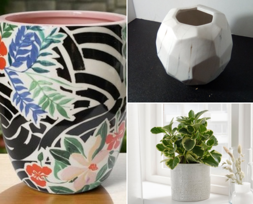 I Added One Pink Plant Pot and My Boring Corner Finally Came Alive cover photo collage