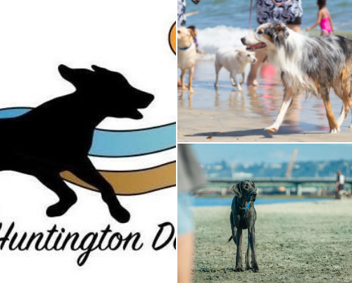 Off-Leash Dog Beaches in Southern California: The Honest Ranking (After Driving to All of Them) cover photo collage