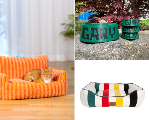 things your pets need. (if you wanna be a cool pet mom) cover photo collage