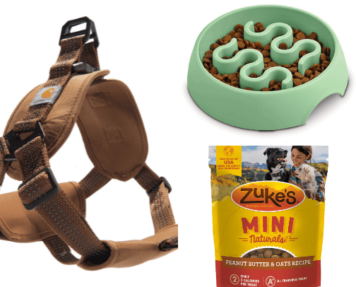 dog necessities cover photo collage