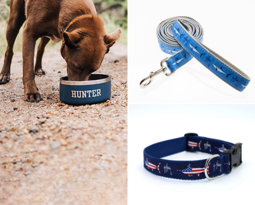 Dog essentials 🐶 cover photo collage