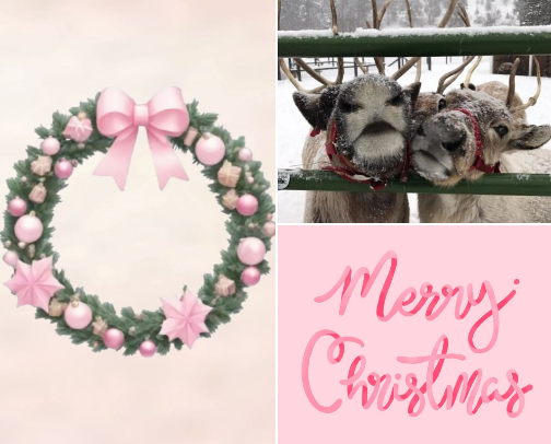 What to get your sis for christmas 🎄🥰 cover photo collage