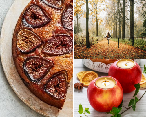 All things fall cover photo collage