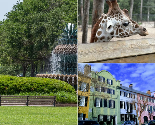 Things to do in Charleston SC cover photo collage