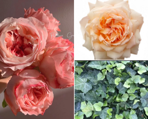 English Cottage Garden Favorites 🌹 cover photo collage