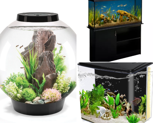Fish Tanks cover photo collage