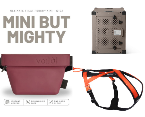 Puppy Essentials cover photo collage