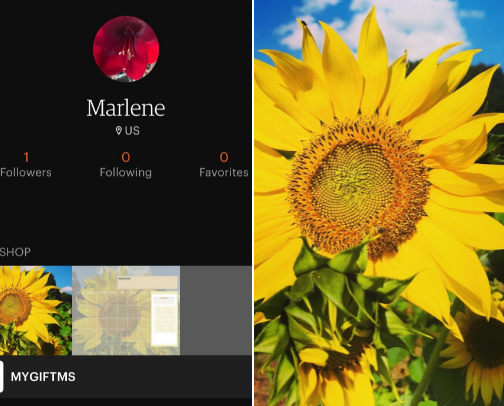 My store cover photo collage