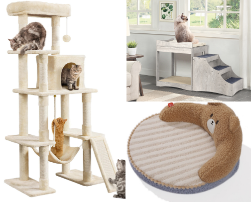 Cute & Modern Cat Living cover photo collage