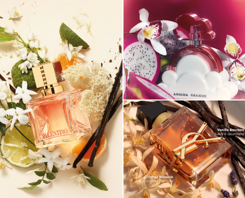 Parfumes that people will ask you about cover photo collage