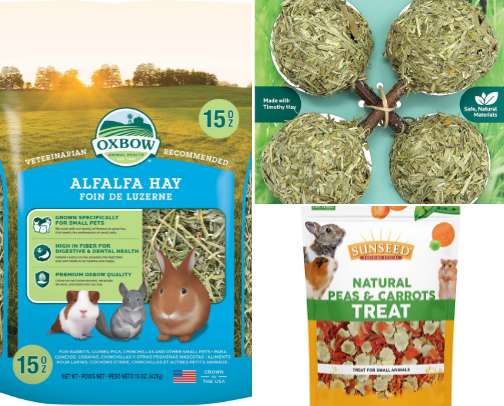 Guinea Pig Care🐹 cover photo collage