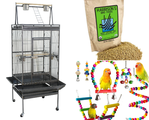 "I'm Planning To Get A Bird" cover photo collage