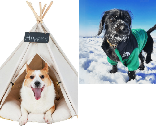 For The Fur Babies cover photo collage
