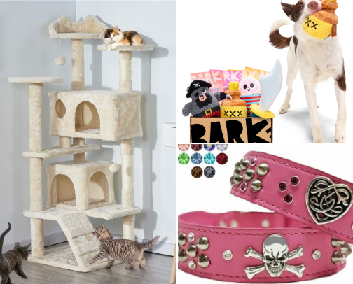 Pampered Paws and Tail Tales 🐶 🐱 cover photo collage