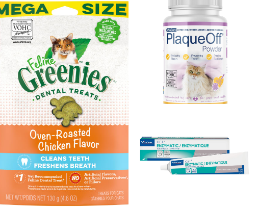 cat dental ˚ ༘♡ ⋆｡˚ (vohc-approved) cover photo collage