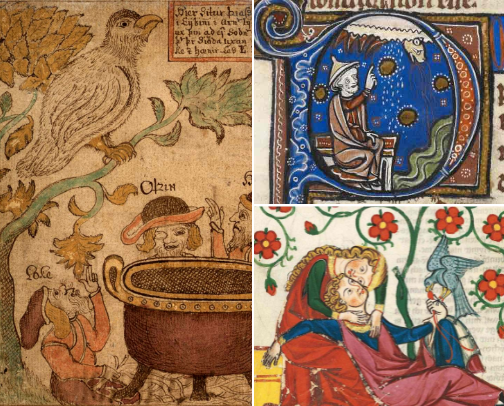 Sympathetic Magic in Medieval Europe ✩₊˚.⋆☾⋆⁺₊✧ cover photo collage