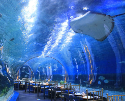 Manila ocean Park cover photo collage
